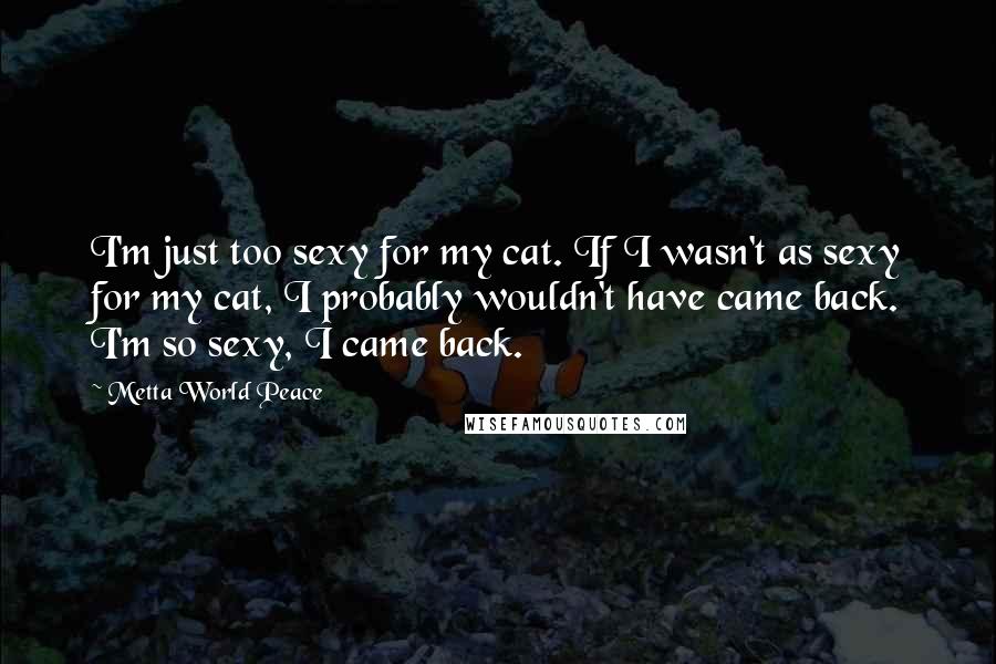 Metta World Peace Quotes: I'm just too sexy for my cat. If I wasn't as sexy for my cat, I probably wouldn't have came back. I'm so sexy, I came back.