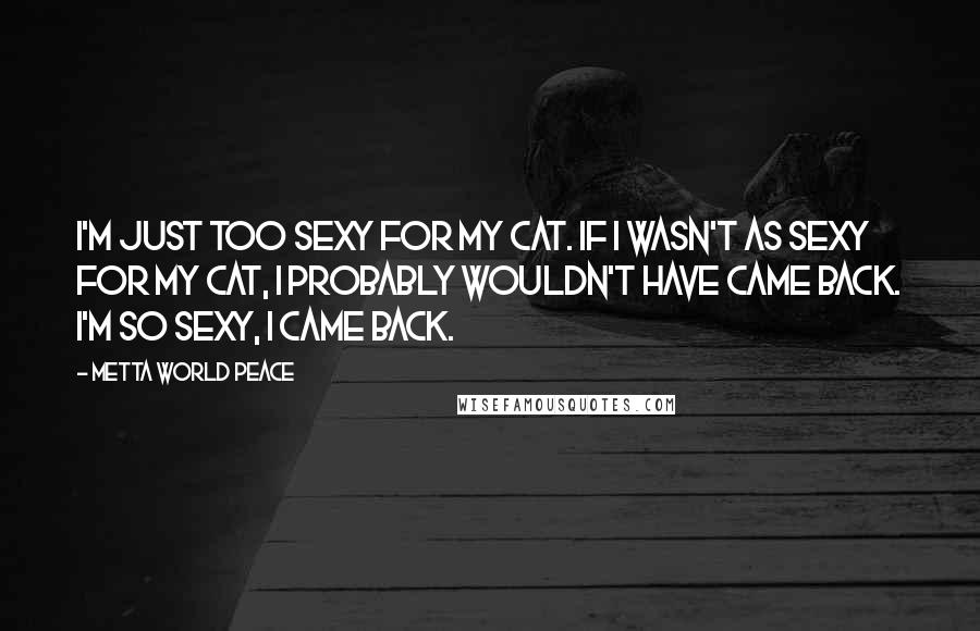 Metta World Peace Quotes: I'm just too sexy for my cat. If I wasn't as sexy for my cat, I probably wouldn't have came back. I'm so sexy, I came back.
