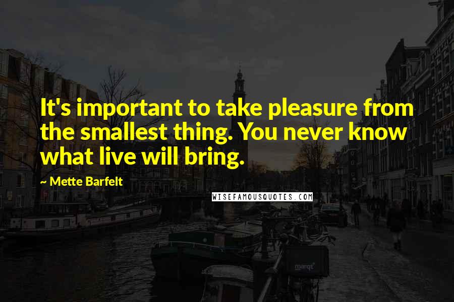 Mette Barfelt Quotes: It's important to take pleasure from the smallest thing. You never know what live will bring.