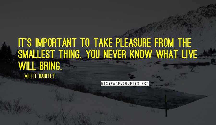 Mette Barfelt Quotes: It's important to take pleasure from the smallest thing. You never know what live will bring.