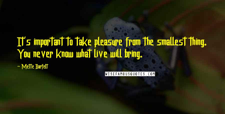 Mette Barfelt Quotes: It's important to take pleasure from the smallest thing. You never know what live will bring.