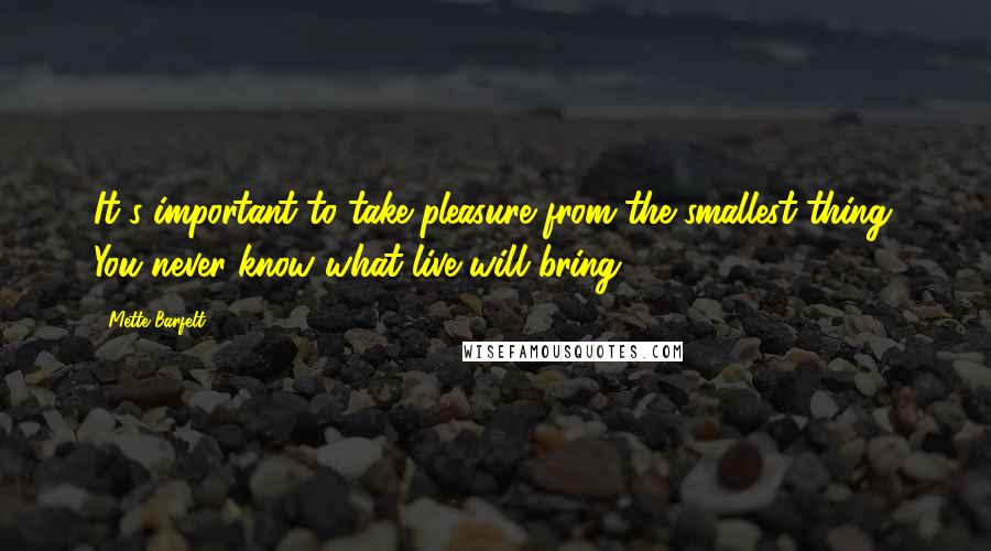 Mette Barfelt Quotes: It's important to take pleasure from the smallest thing. You never know what live will bring.