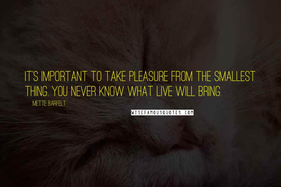 Mette Barfelt Quotes: It's important to take pleasure from the smallest thing. You never know what live will bring.