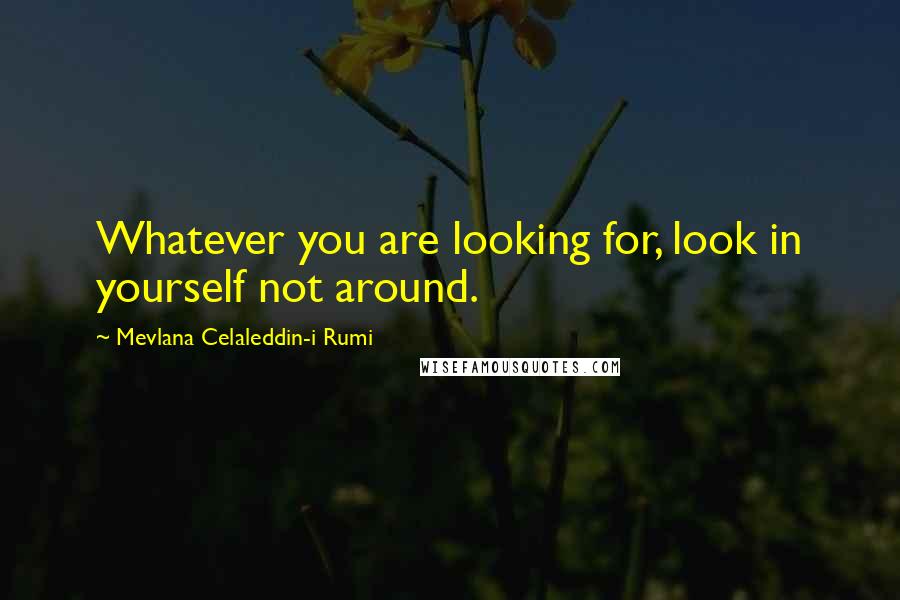 Mevlana Celaleddin-i Rumi Quotes: Whatever you are looking for, look in yourself not around.