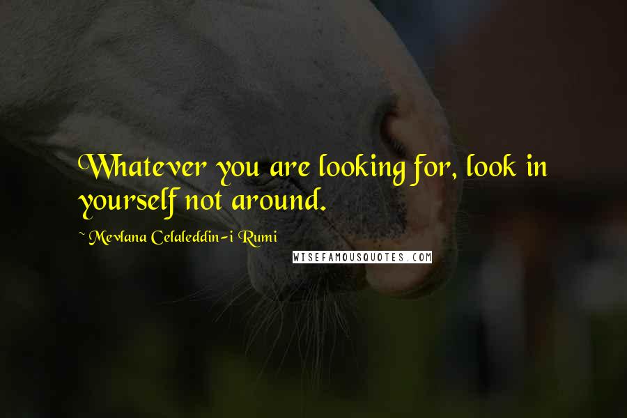 Mevlana Celaleddin-i Rumi Quotes: Whatever you are looking for, look in yourself not around.