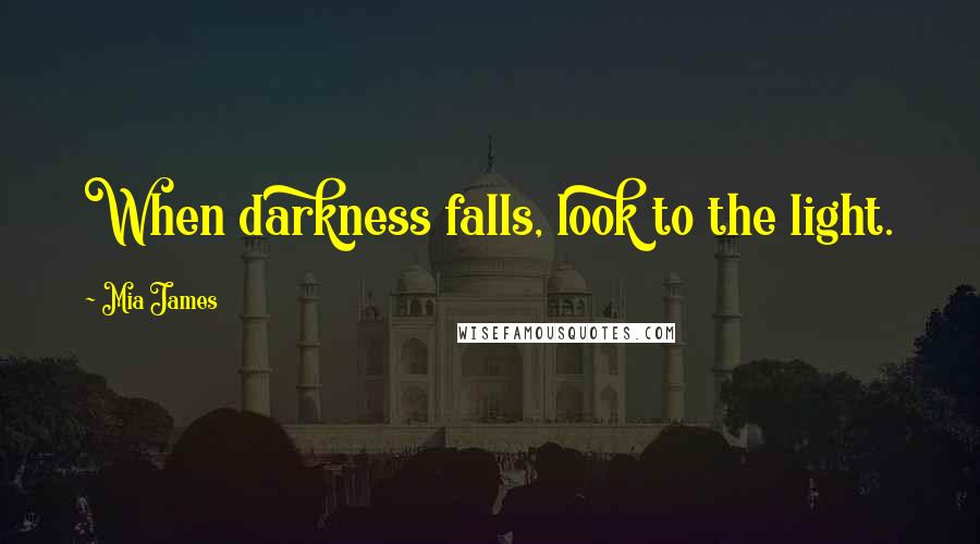 Mia James Quotes: When darkness falls, look to the light.