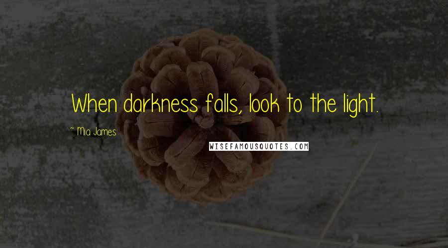 Mia James Quotes: When darkness falls, look to the light.