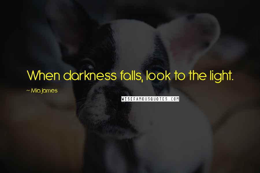 Mia James Quotes: When darkness falls, look to the light.