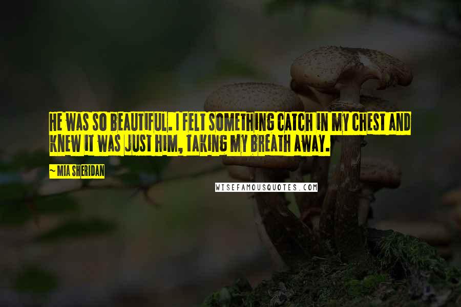 Mia Sheridan Quotes: He was so beautiful. I felt something catch in my chest and knew it was just him, taking my breath away.