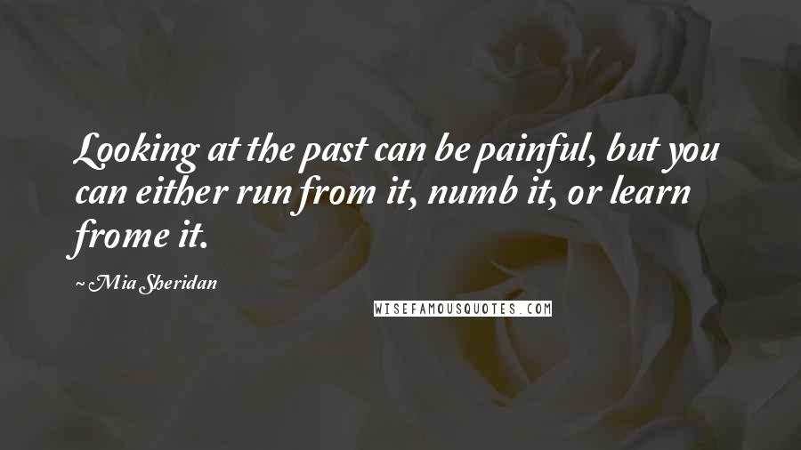 Mia Sheridan Quotes: Looking at the past can be painful, but you can either run from it, numb it, or learn frome it.