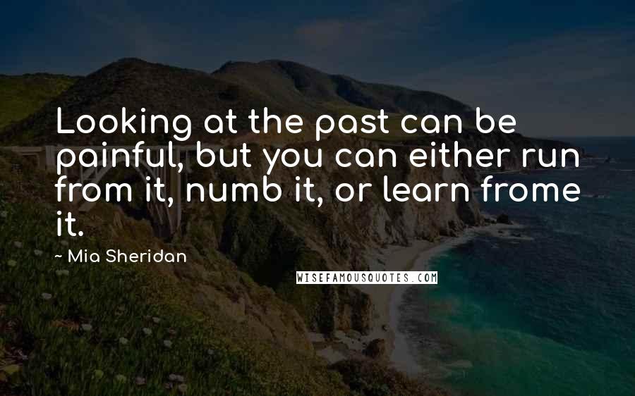 Mia Sheridan Quotes: Looking at the past can be painful, but you can either run from it, numb it, or learn frome it.