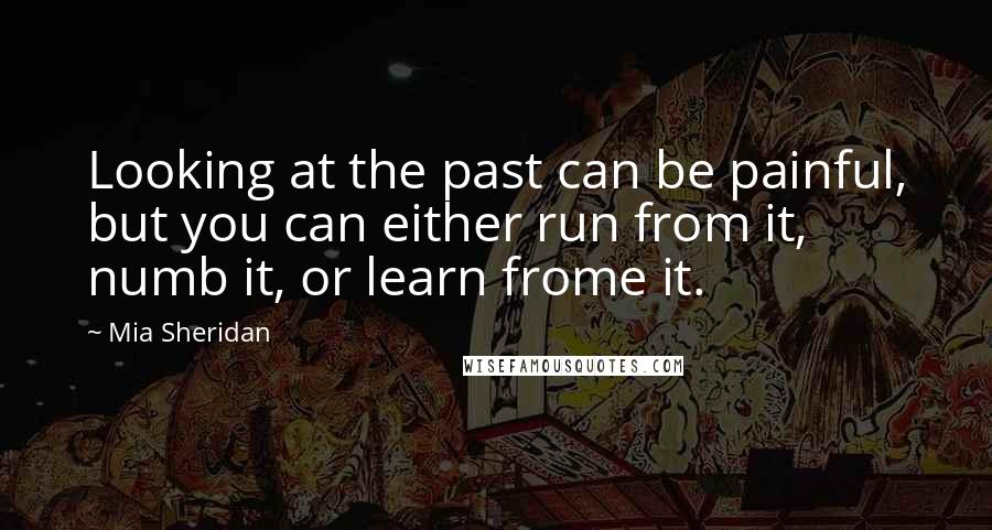 Mia Sheridan Quotes: Looking at the past can be painful, but you can either run from it, numb it, or learn frome it.