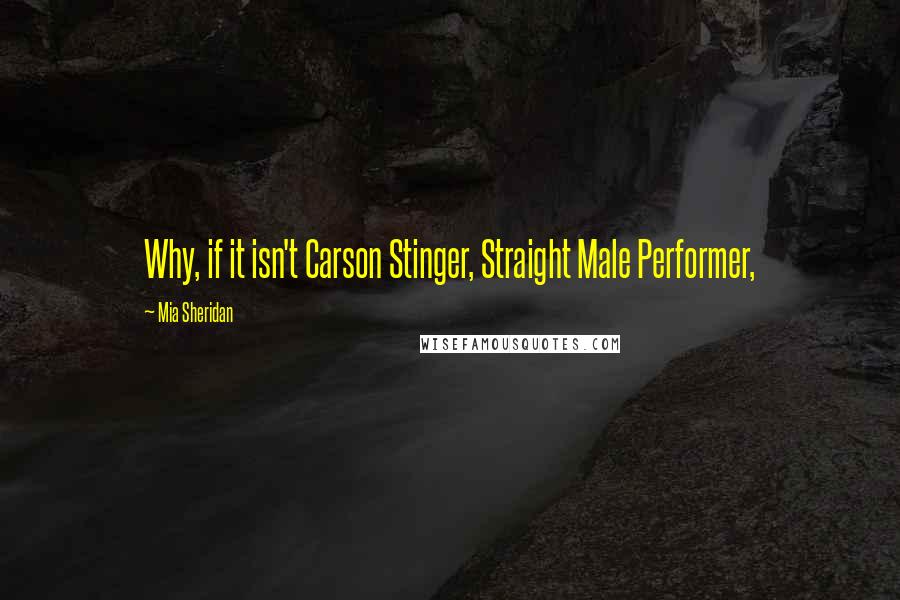 Mia Sheridan Quotes: Why, if it isn't Carson Stinger, Straight Male Performer,