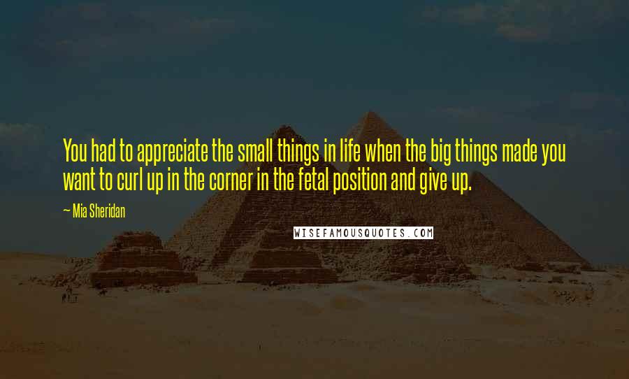 Mia Sheridan Quotes: You had to appreciate the small things in life when the big things made you want to curl up in the corner in the fetal position and give up.