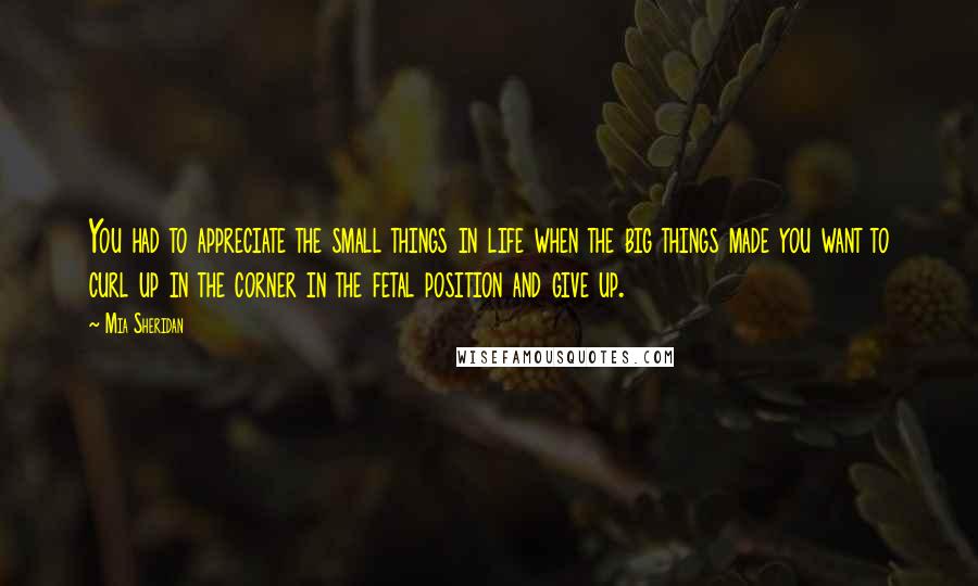 Mia Sheridan Quotes: You had to appreciate the small things in life when the big things made you want to curl up in the corner in the fetal position and give up.