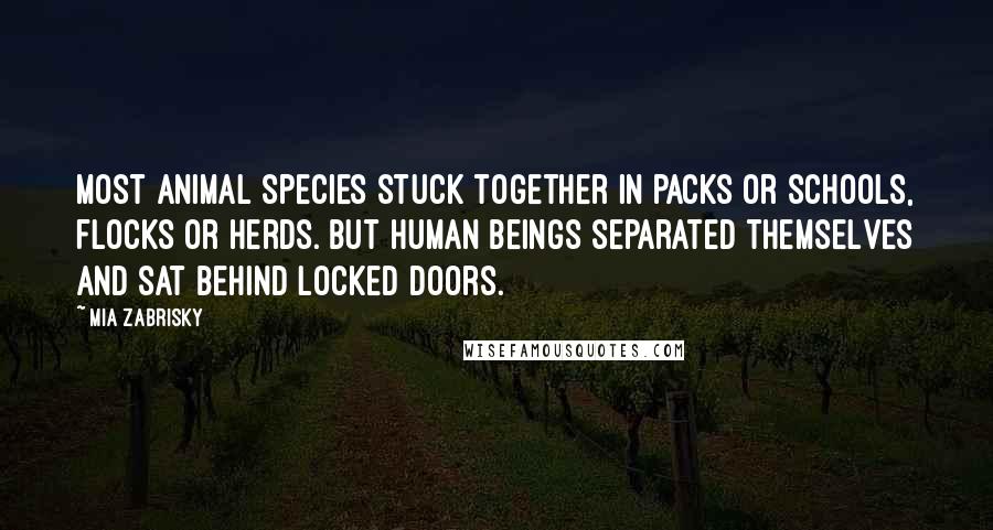 Mia Zabrisky Quotes: Most animal species stuck together in packs or schools, flocks or herds. But human beings separated themselves and sat behind locked doors.