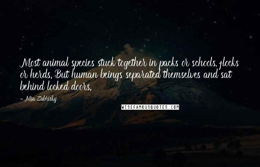 Mia Zabrisky Quotes: Most animal species stuck together in packs or schools, flocks or herds. But human beings separated themselves and sat behind locked doors.