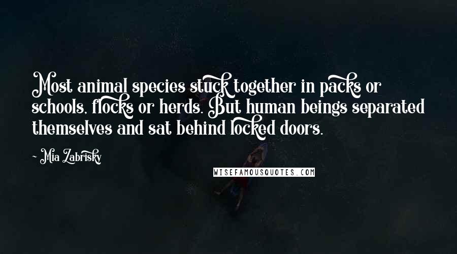 Mia Zabrisky Quotes: Most animal species stuck together in packs or schools, flocks or herds. But human beings separated themselves and sat behind locked doors.