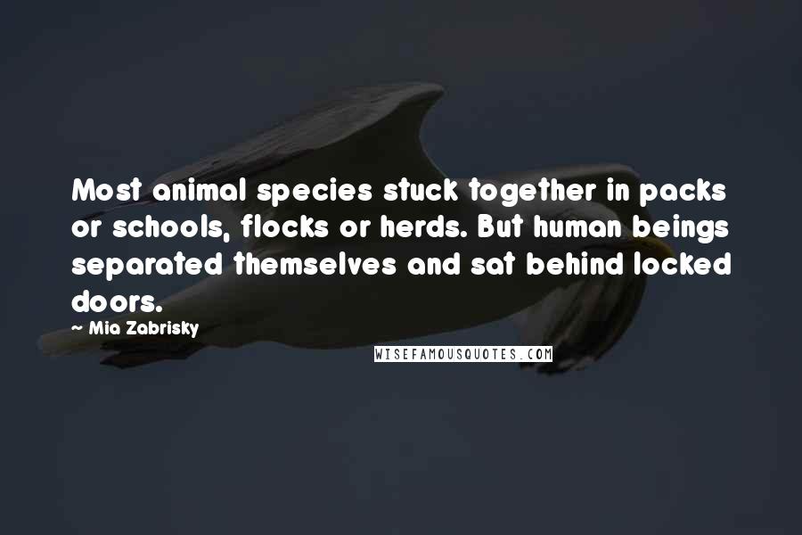 Mia Zabrisky Quotes: Most animal species stuck together in packs or schools, flocks or herds. But human beings separated themselves and sat behind locked doors.