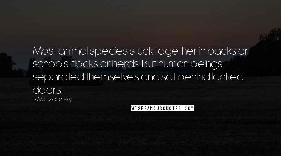 Mia Zabrisky Quotes: Most animal species stuck together in packs or schools, flocks or herds. But human beings separated themselves and sat behind locked doors.