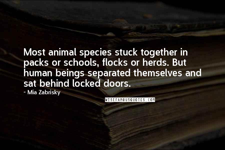 Mia Zabrisky Quotes: Most animal species stuck together in packs or schools, flocks or herds. But human beings separated themselves and sat behind locked doors.