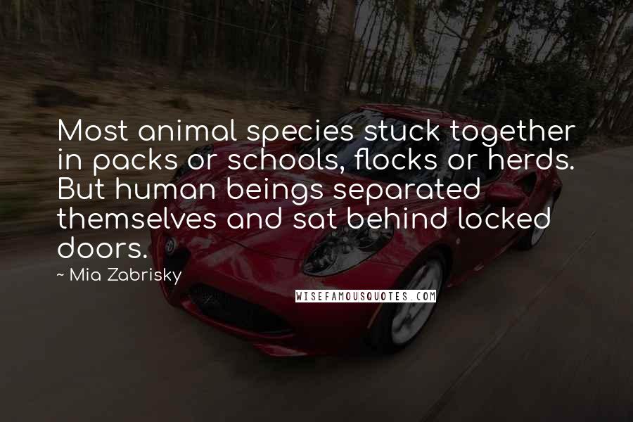 Mia Zabrisky Quotes: Most animal species stuck together in packs or schools, flocks or herds. But human beings separated themselves and sat behind locked doors.