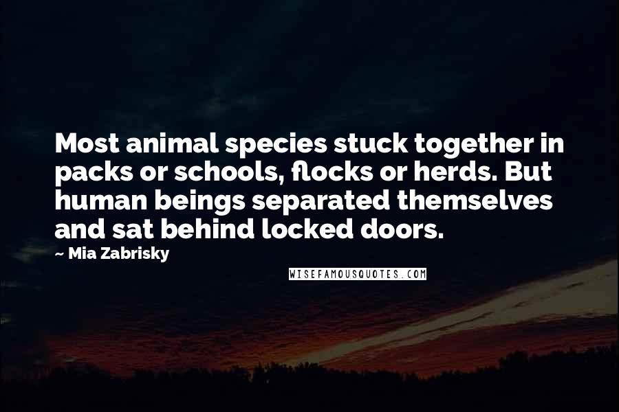 Mia Zabrisky Quotes: Most animal species stuck together in packs or schools, flocks or herds. But human beings separated themselves and sat behind locked doors.