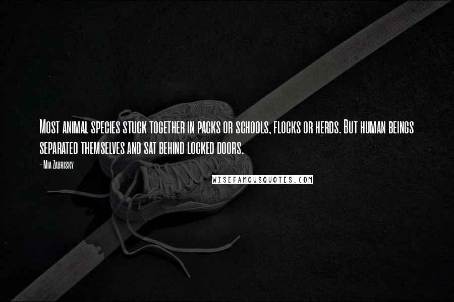 Mia Zabrisky Quotes: Most animal species stuck together in packs or schools, flocks or herds. But human beings separated themselves and sat behind locked doors.