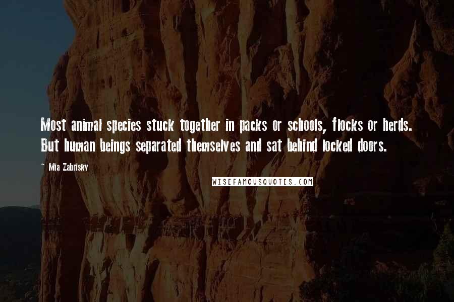 Mia Zabrisky Quotes: Most animal species stuck together in packs or schools, flocks or herds. But human beings separated themselves and sat behind locked doors.