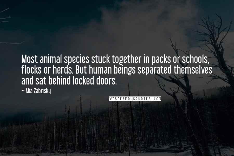 Mia Zabrisky Quotes: Most animal species stuck together in packs or schools, flocks or herds. But human beings separated themselves and sat behind locked doors.