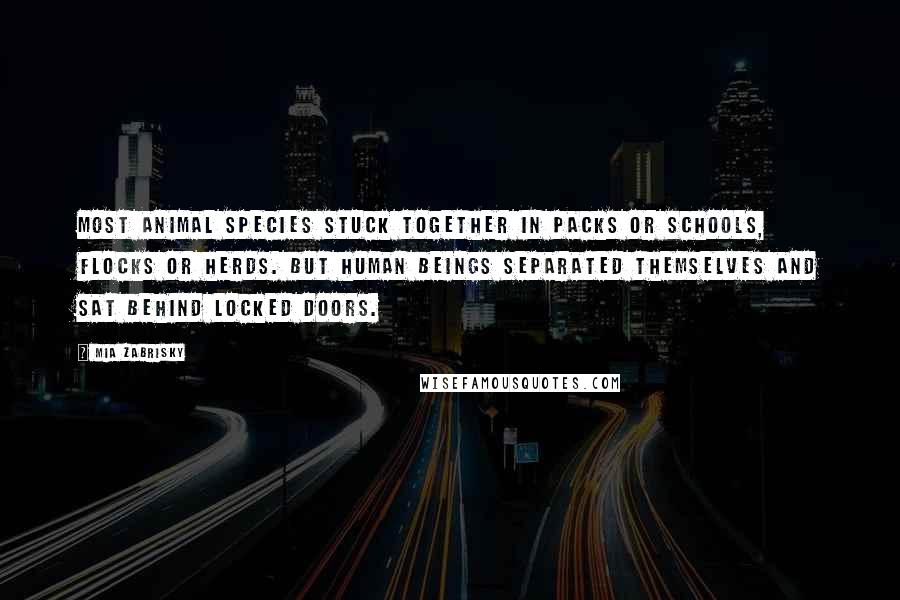 Mia Zabrisky Quotes: Most animal species stuck together in packs or schools, flocks or herds. But human beings separated themselves and sat behind locked doors.