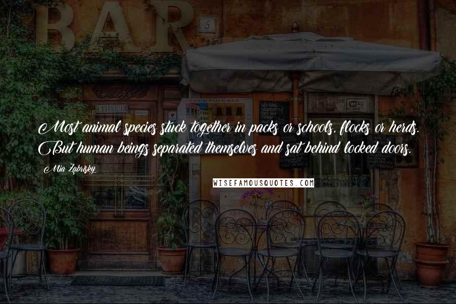 Mia Zabrisky Quotes: Most animal species stuck together in packs or schools, flocks or herds. But human beings separated themselves and sat behind locked doors.