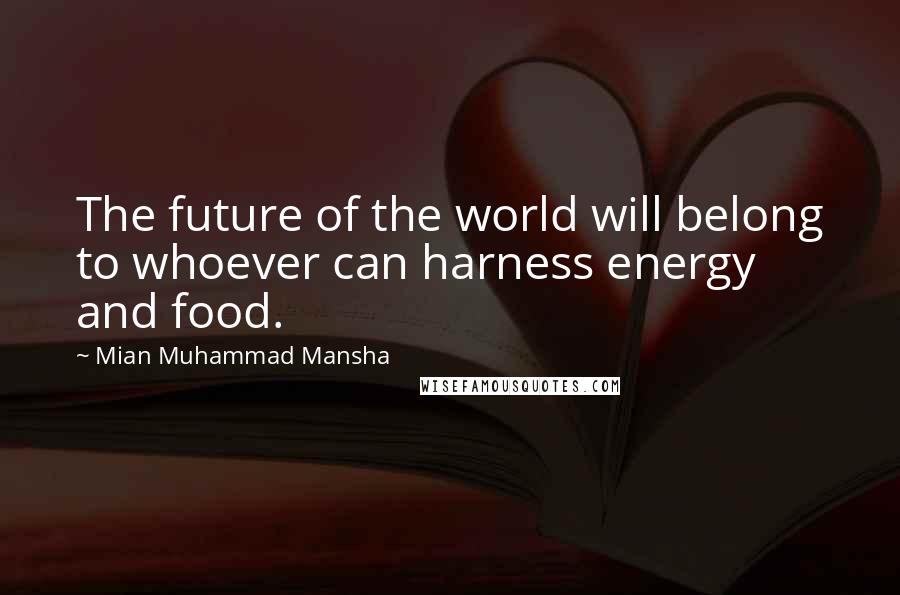 Mian Muhammad Mansha Quotes: The future of the world will belong to whoever can harness energy and food.
