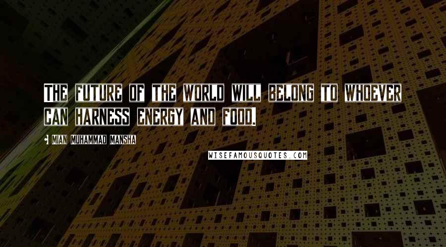 Mian Muhammad Mansha Quotes: The future of the world will belong to whoever can harness energy and food.