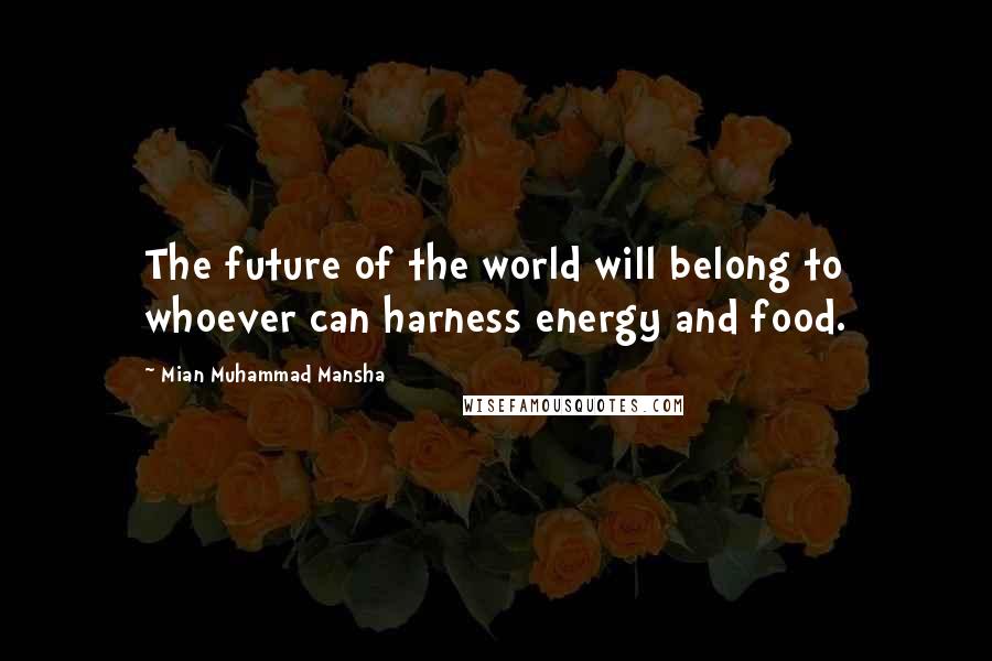 Mian Muhammad Mansha Quotes: The future of the world will belong to whoever can harness energy and food.