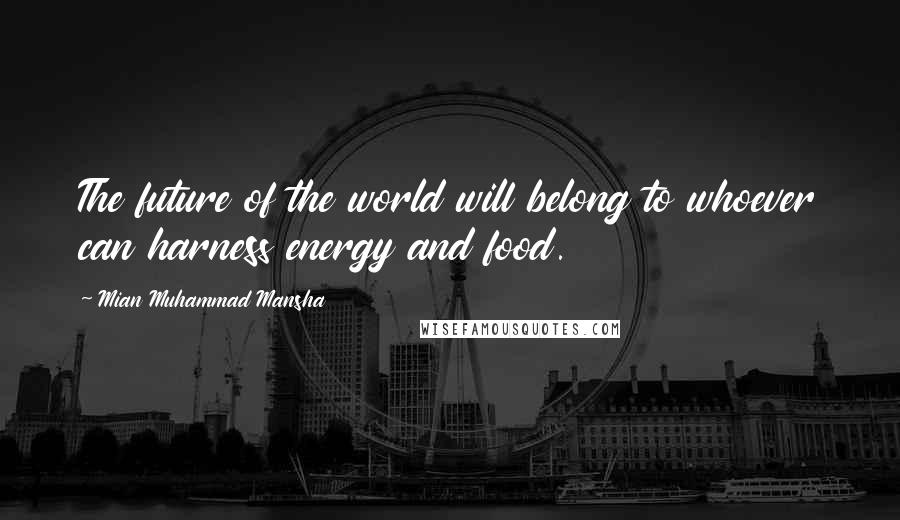 Mian Muhammad Mansha Quotes: The future of the world will belong to whoever can harness energy and food.