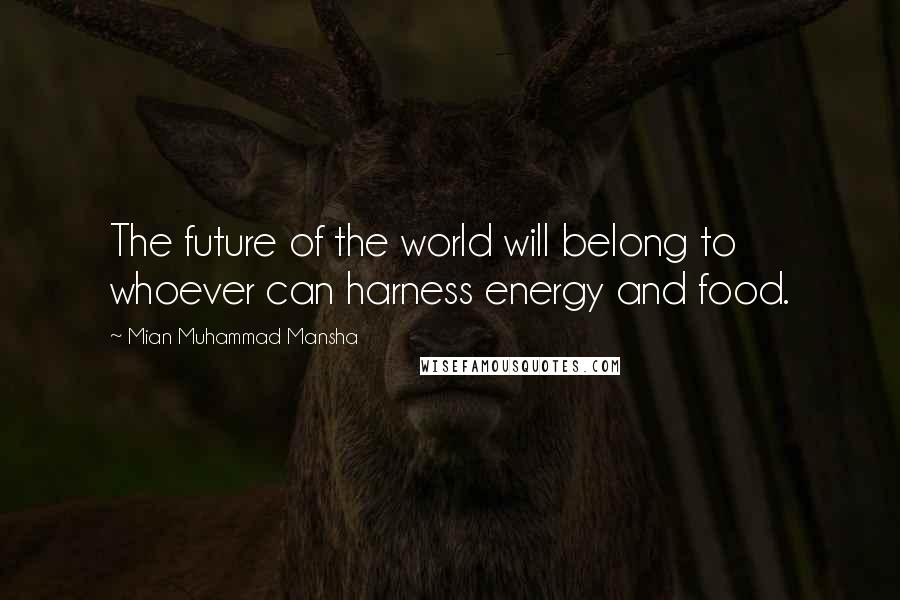 Mian Muhammad Mansha Quotes: The future of the world will belong to whoever can harness energy and food.