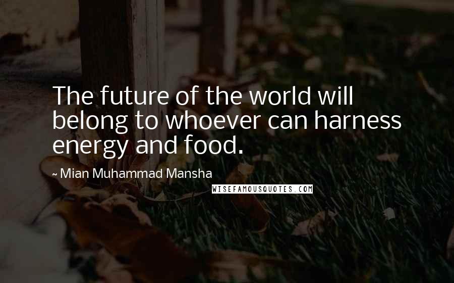 Mian Muhammad Mansha Quotes: The future of the world will belong to whoever can harness energy and food.