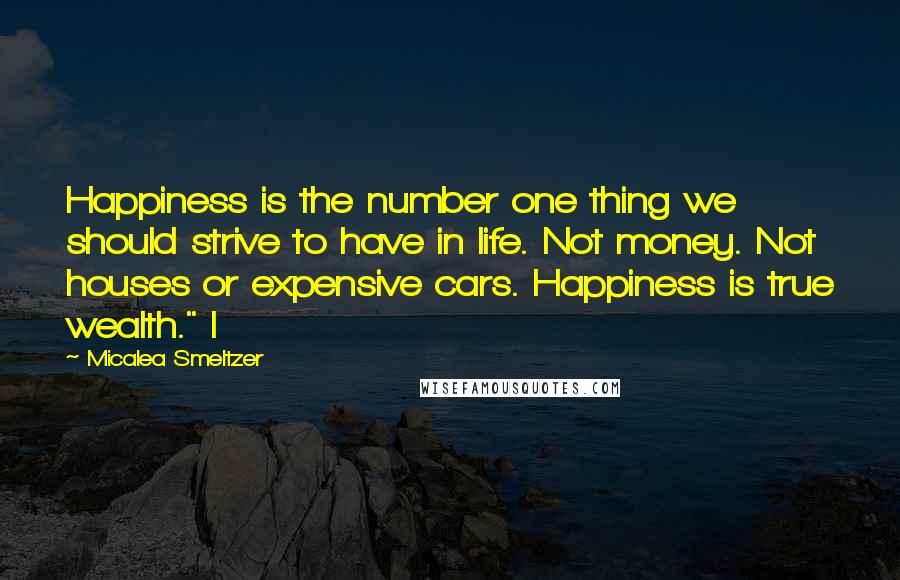 Micalea Smeltzer Quotes: Happiness is the number one thing we should strive to have in life. Not money. Not houses or expensive cars. Happiness is true wealth." I