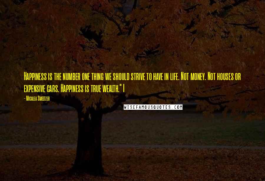 Micalea Smeltzer Quotes: Happiness is the number one thing we should strive to have in life. Not money. Not houses or expensive cars. Happiness is true wealth." I