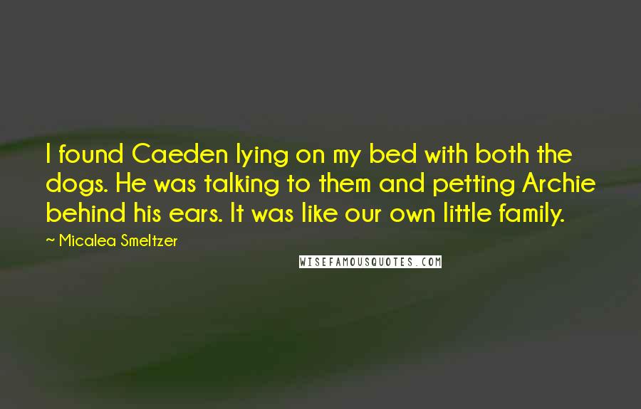 Micalea Smeltzer Quotes: I found Caeden lying on my bed with both the dogs. He was talking to them and petting Archie behind his ears. It was like our own little family.