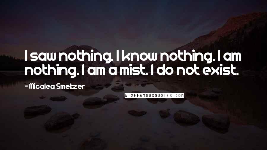 Micalea Smeltzer Quotes: I saw nothing. I know nothing. I am nothing. I am a mist. I do not exist.