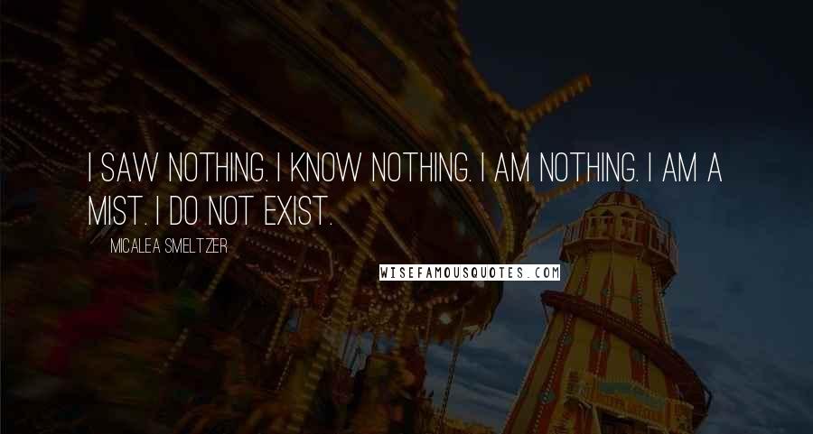 Micalea Smeltzer Quotes: I saw nothing. I know nothing. I am nothing. I am a mist. I do not exist.