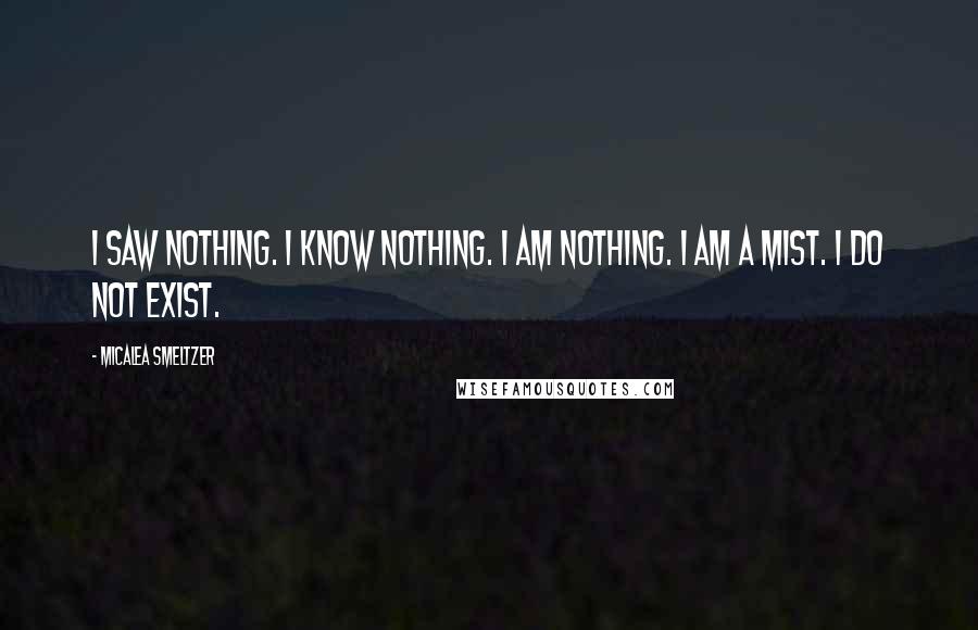 Micalea Smeltzer Quotes: I saw nothing. I know nothing. I am nothing. I am a mist. I do not exist.