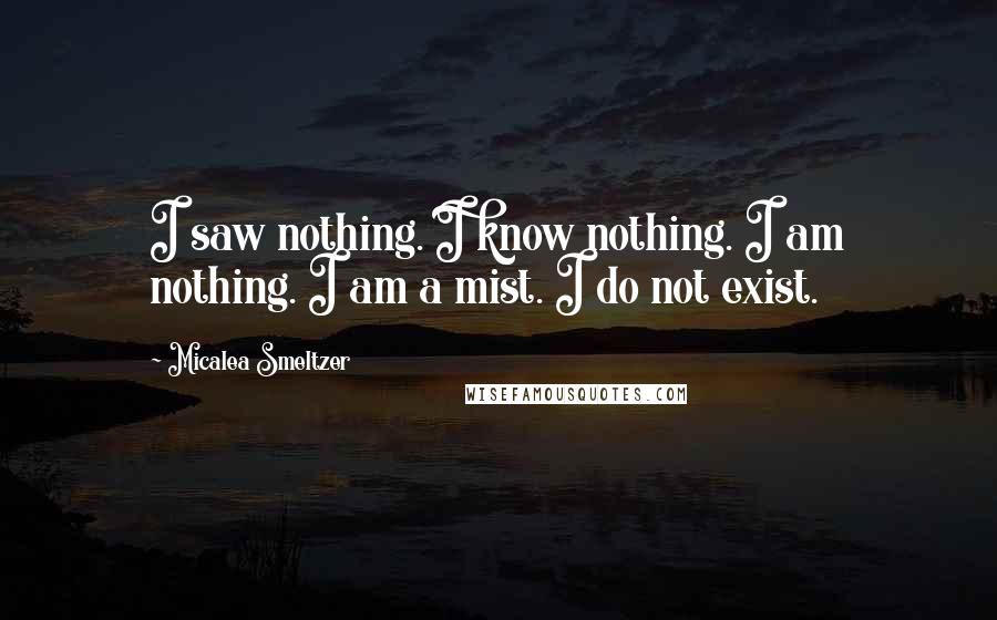 Micalea Smeltzer Quotes: I saw nothing. I know nothing. I am nothing. I am a mist. I do not exist.