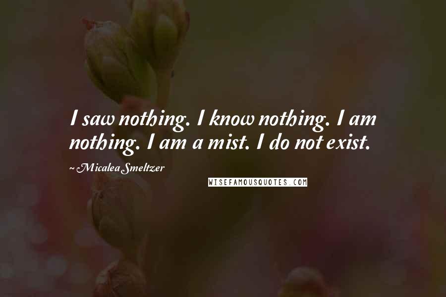 Micalea Smeltzer Quotes: I saw nothing. I know nothing. I am nothing. I am a mist. I do not exist.