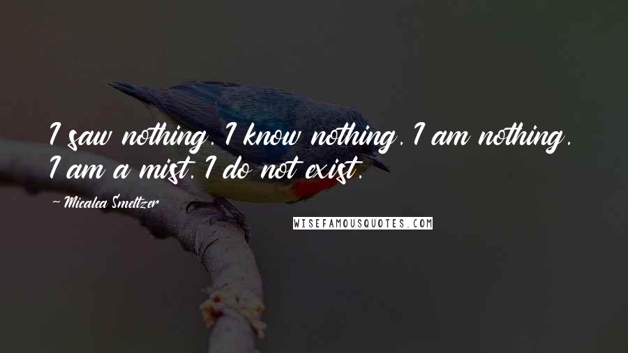 Micalea Smeltzer Quotes: I saw nothing. I know nothing. I am nothing. I am a mist. I do not exist.