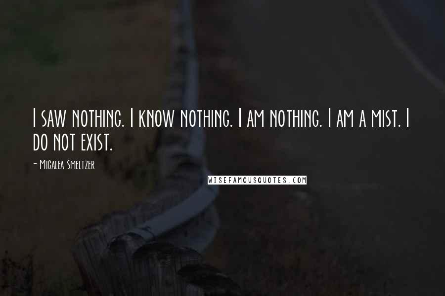 Micalea Smeltzer Quotes: I saw nothing. I know nothing. I am nothing. I am a mist. I do not exist.