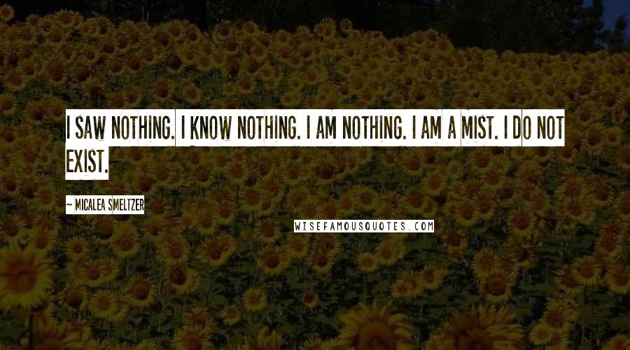 Micalea Smeltzer Quotes: I saw nothing. I know nothing. I am nothing. I am a mist. I do not exist.