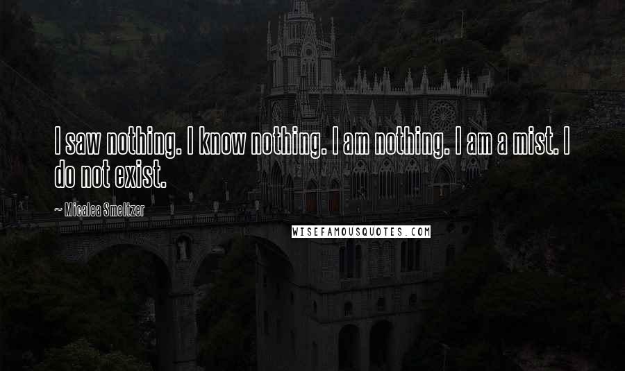 Micalea Smeltzer Quotes: I saw nothing. I know nothing. I am nothing. I am a mist. I do not exist.